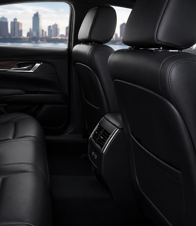 Executive Sedan rear executive passenger seating