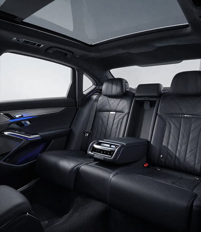 BMW Premium Sedan rear executive passenger seating